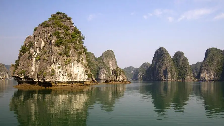 工业全自动